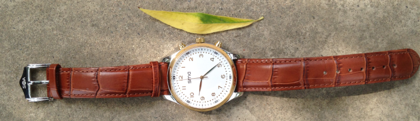 【SmaWatch】传统手表与智能手表的结合，又一条手表智能之路